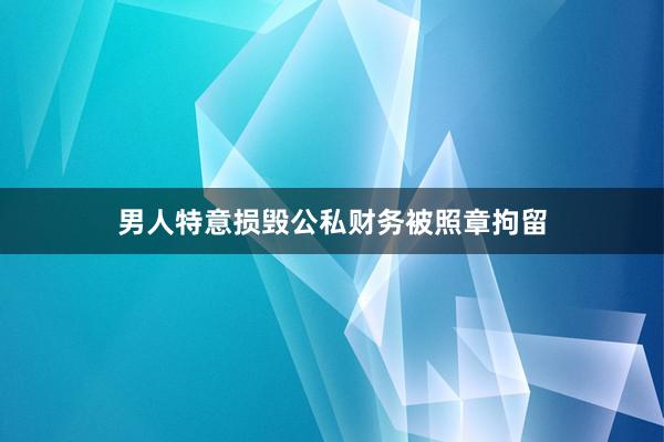 男人特意损毁公私财务被照章拘留