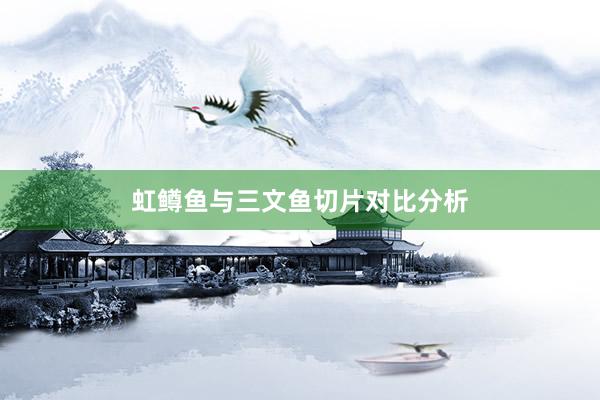 虹鳟鱼与三文鱼切片对比分析